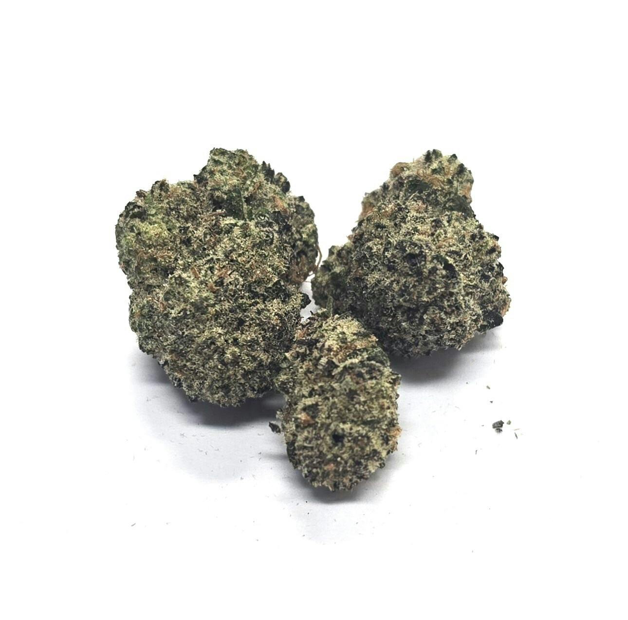 MEDIUM Buds - Purple Milk-BLOSSOM