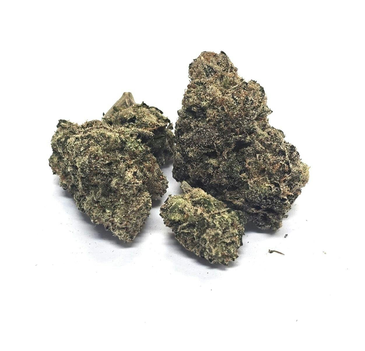 MEDIUM Buds - Carmelita - BLOSSOM