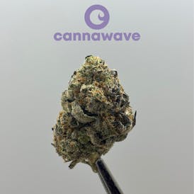 Hawaiian Velvet Flor(super especial) | 4g X $12 | 7g X $20 | 14g X $38 | 28g X $70