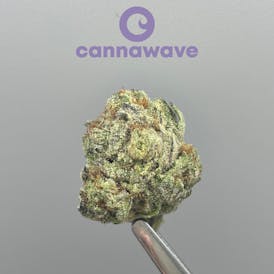 Banana Punch Flor(PREMIUM) | 4G X $20 | 7G X $30 | 14G X $60 | 28G X $100