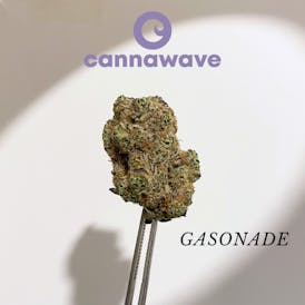 Gasonade Flor (LA GANGA ) | 4G X $16 | 7G X $25 | 8X $28 14G X $48 | 28G X $85