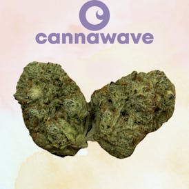 Dirty Snow (Premium) 3.5g x $20 | 7g x $35 | 14g x $60 | 28g x $110
