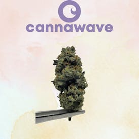 (Grow PR) Black Ritz (Ganga) 1G X $5 |3.5GX$15| 7G X $25 |14G X $45 |28G X$85