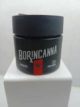 BLUCIFER 3.5G "PRE-PACK" BORINCANA