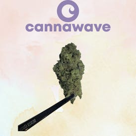 Gorilla Glue Mintz (ESPECIAL ) 1GX$5 | 3.5GX$15 | 7GX$25| 14GX$45 | 28GX$85