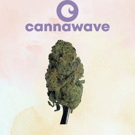 Chem Cookies Flor (ESPECIAL) 1Gx$5 | 5GX$15 | 7GX$25 | 14GX$45 | 28GX$85
