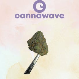 RS11 Flor *Premium* 1GX$7 | 3.5XG$20 | 7GX$35 | 14GX$60 | 28GX$110