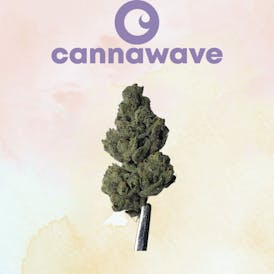 Gummiez Flor *Premium* 1GX$7 | 3.5XG$20 | 7GX$35 | 14GX$60 | 28GX$110
