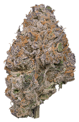 Permanent Kush (ESPECIAL) 1G X $5 |3.5GX$15| 7G X $25 |14G X $45 |28G X$85