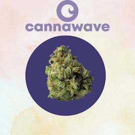 Bahama Mama *Ganga* 3.5g x $18 | 7gx $30 | 14g x $52 | 28 x $95