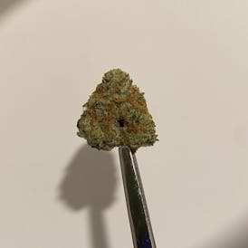 Epic Buzz *Ganga* 3.5g x $18 | 7g x $30 | 14g x $52 | 28g x $95
