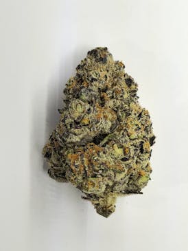 Opal Orchid *Premium* 1GX$7 | 3.5XG$20 | 7GX$35 | 14GX$60 | 28GX$110