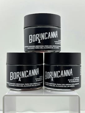 Borincanna - Papichi - Pre-Pack 14g