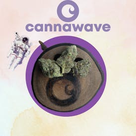 Bavarian Cream Flor (PREMIUM) 1GX $7|3.5G X $20 | 7G X $35 | 14G X $60| 28G X $110