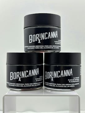 Borincanna - Rainbow Belts / Pre-Pack 14g