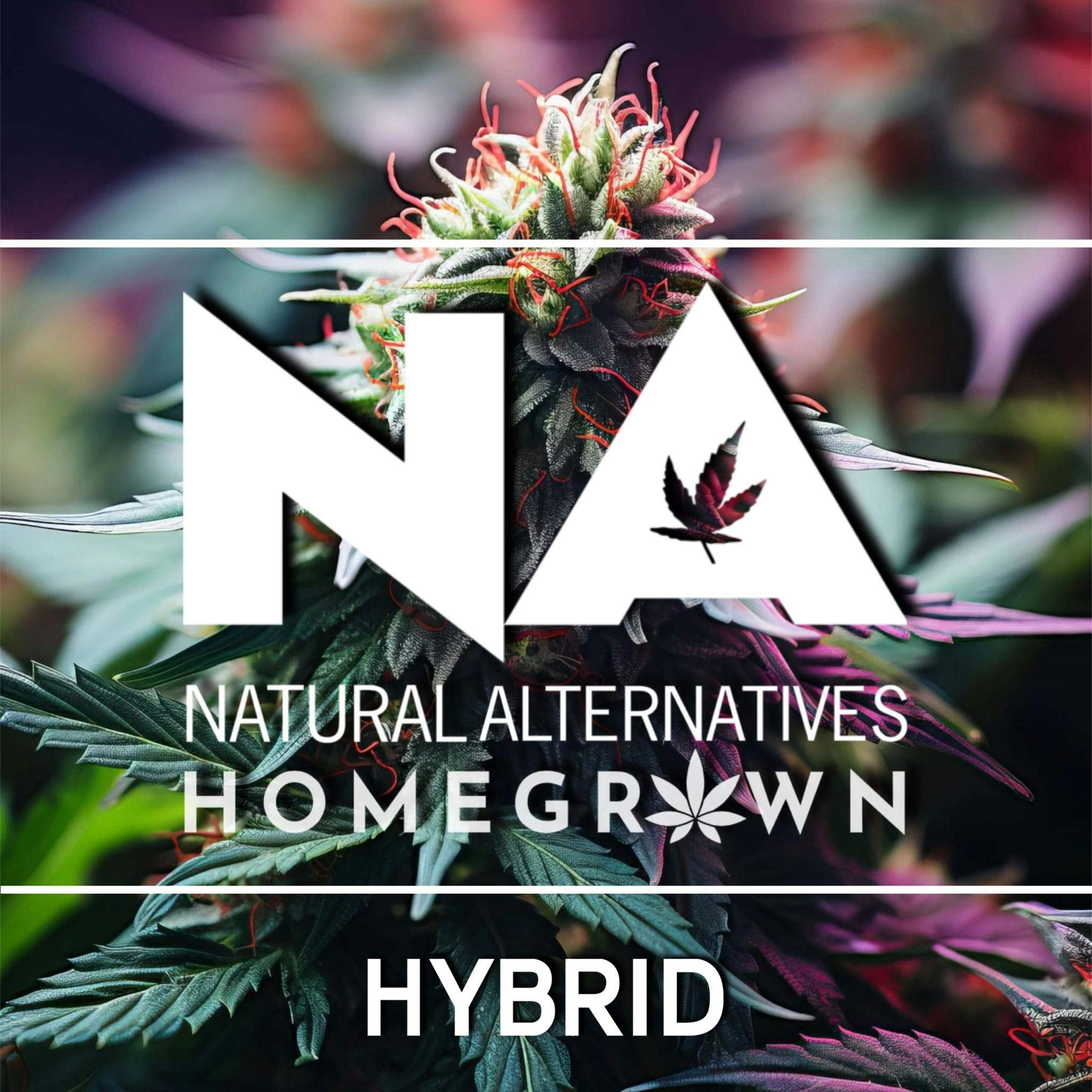House Grown 80