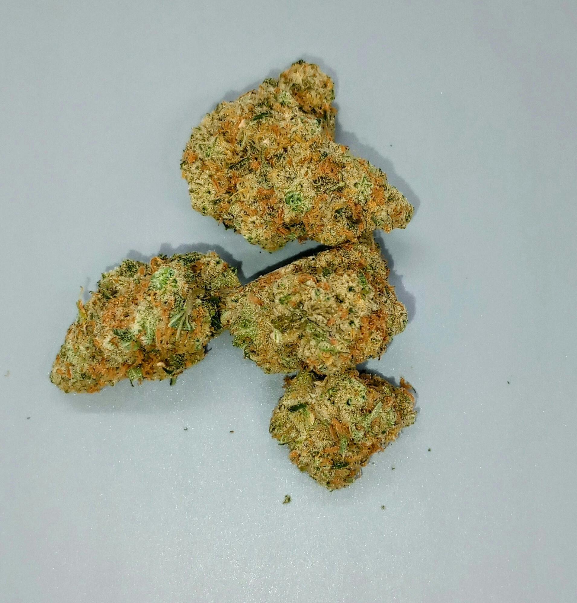 Vera | Blamo | 3.5g | Exclusive Online Ordering ONLY