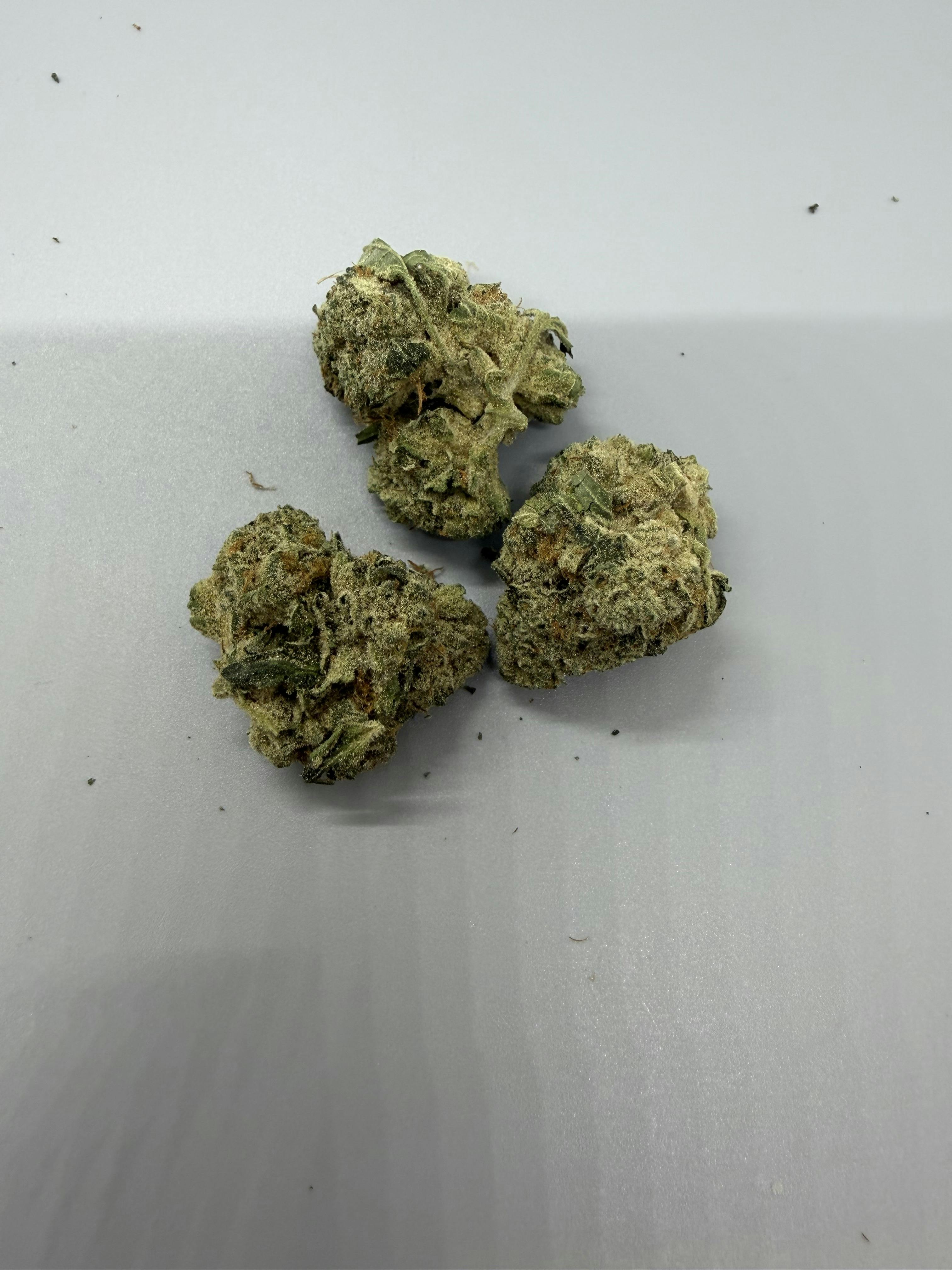 Vera | Notorious THC | 3.5g | Exclusive Online Ordering ONLY