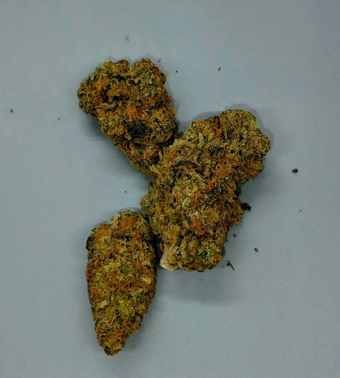 Antero Sciences | Papaya Juice | 3.5g | Exclusive Online Ordering ONLY