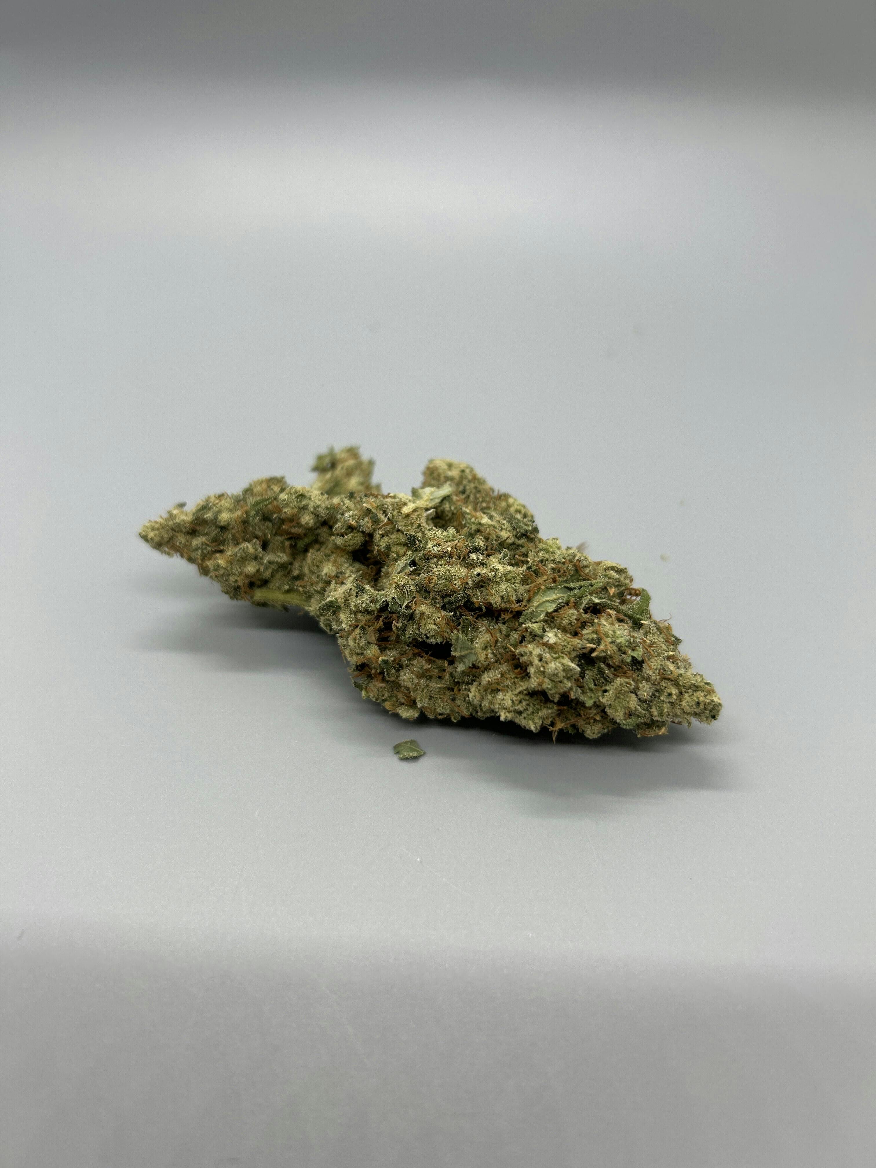 Vera | Jack Herer x Punch Breath #6 | 3.5g | Exclusive Online Ordering ONLY