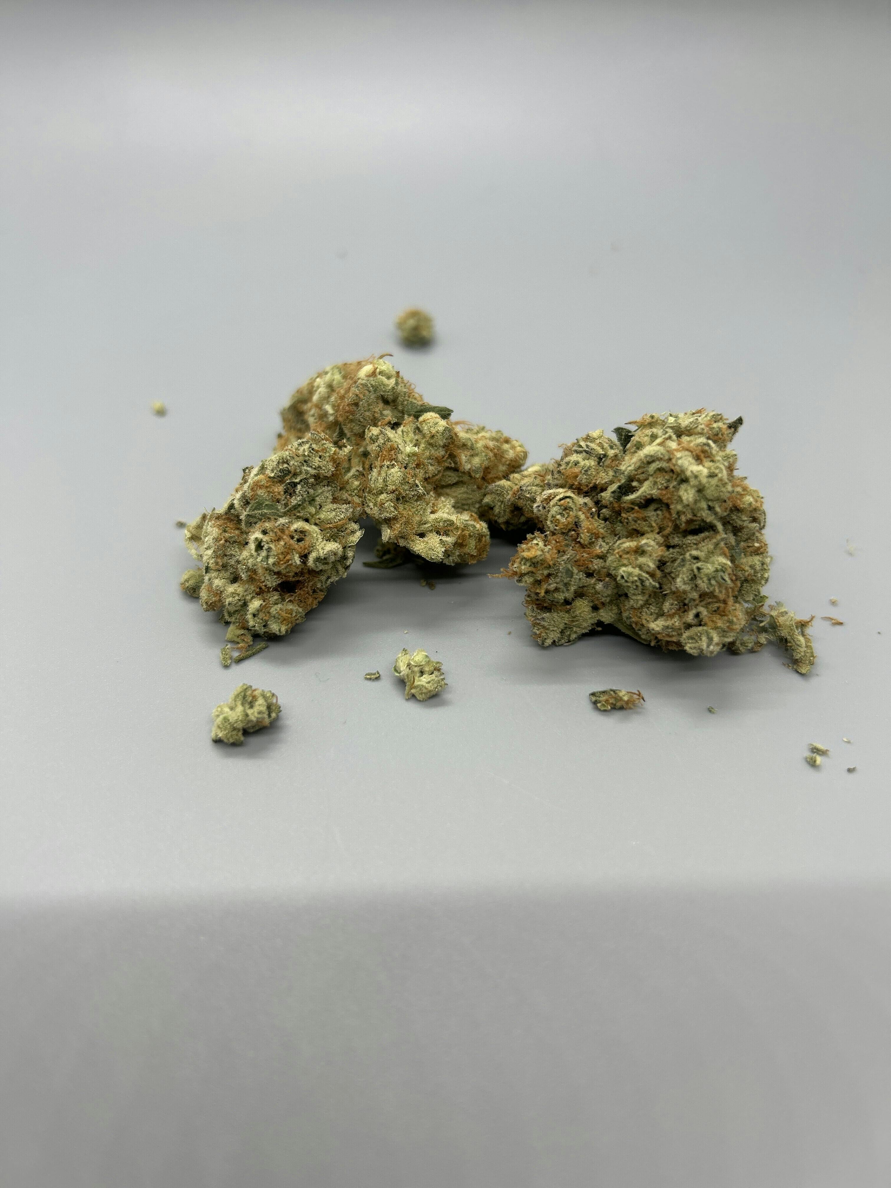 Vera | Medusa x Peach Breath #10 | 3.5g