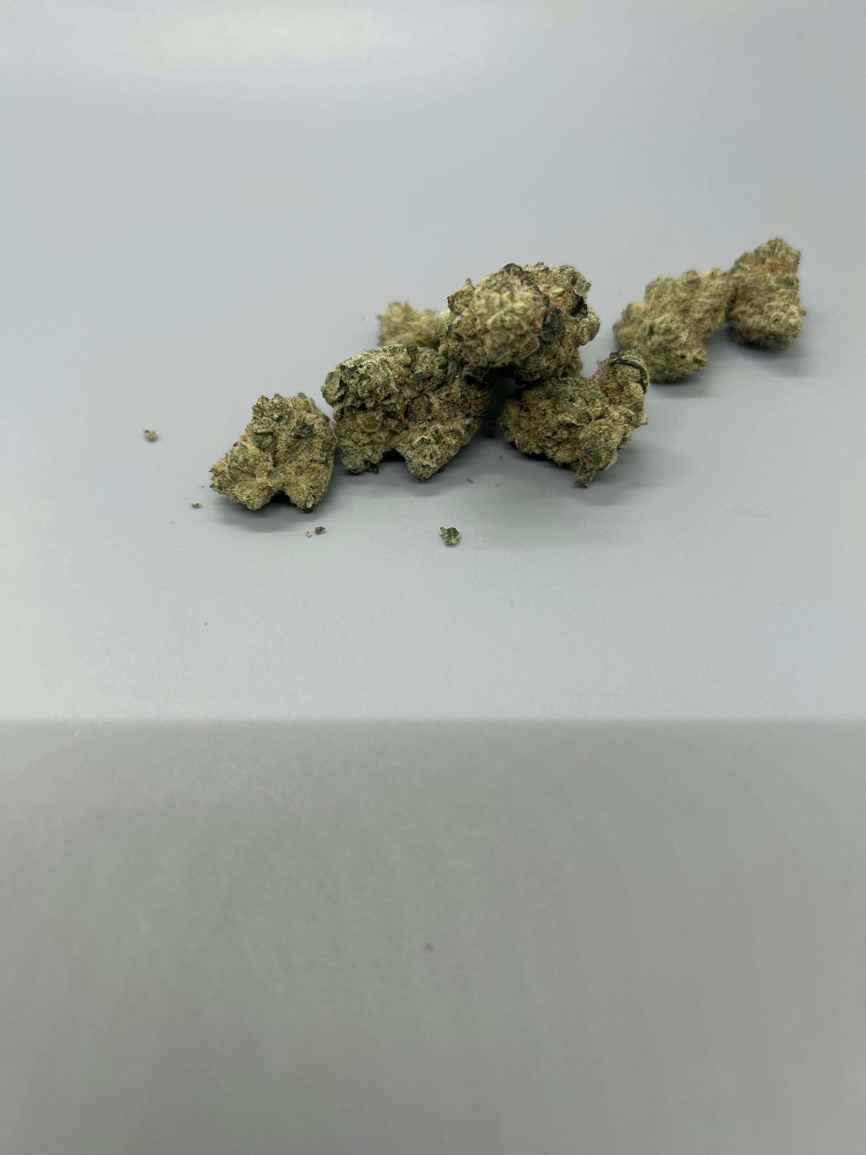 Vera | Paul Morphy | 3.5g | Exclusive Online Ordering ONLY