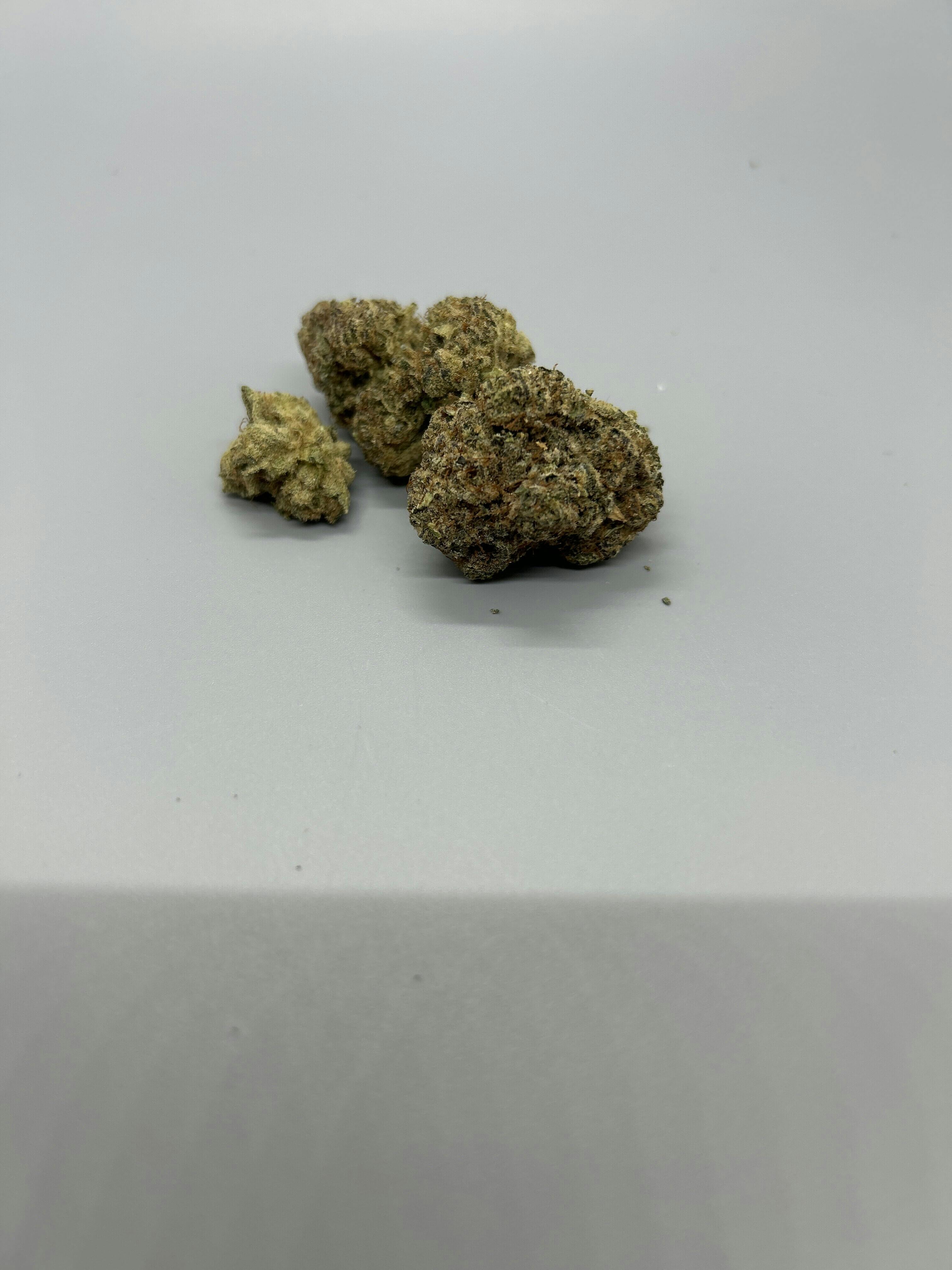 Truffle Monkey | Big Buds | 3.5g