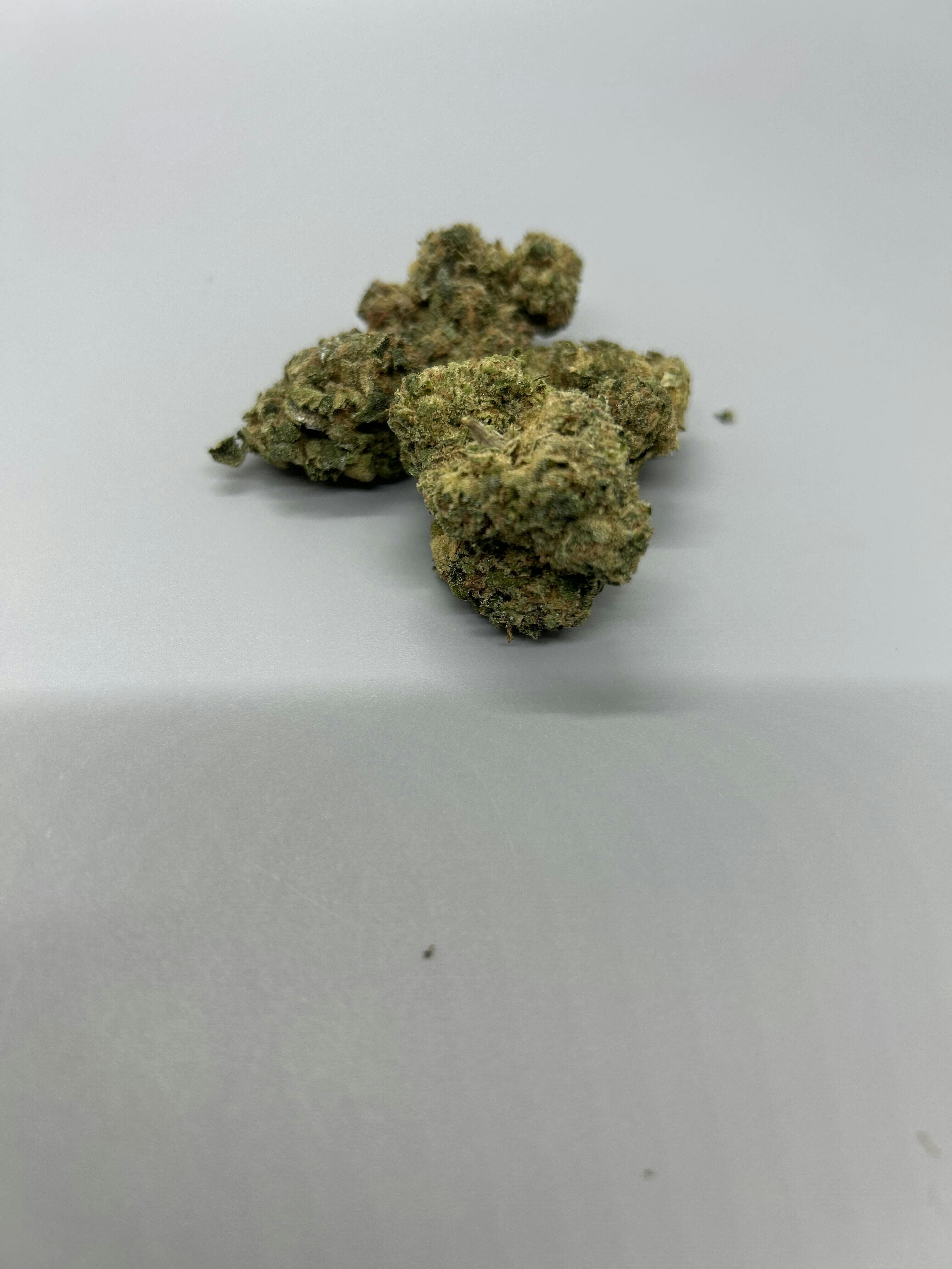 Antero Sciences | Jokerz I 3.5g | Exclusive Online Ordering ONLY
