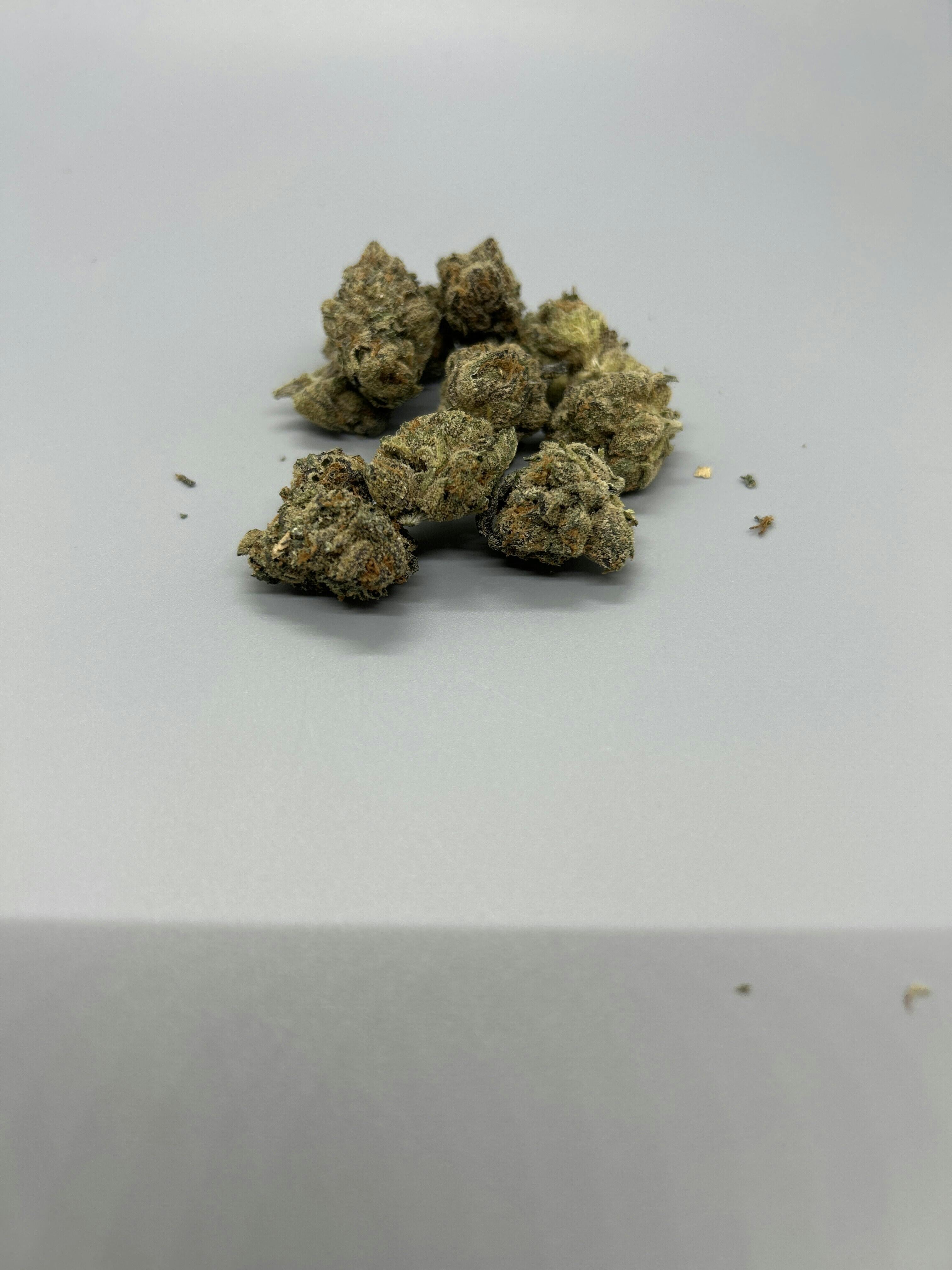Antero Sciences | Peanut Butter Gelato I 3.5g | Exclusive Online Ordering ONLY