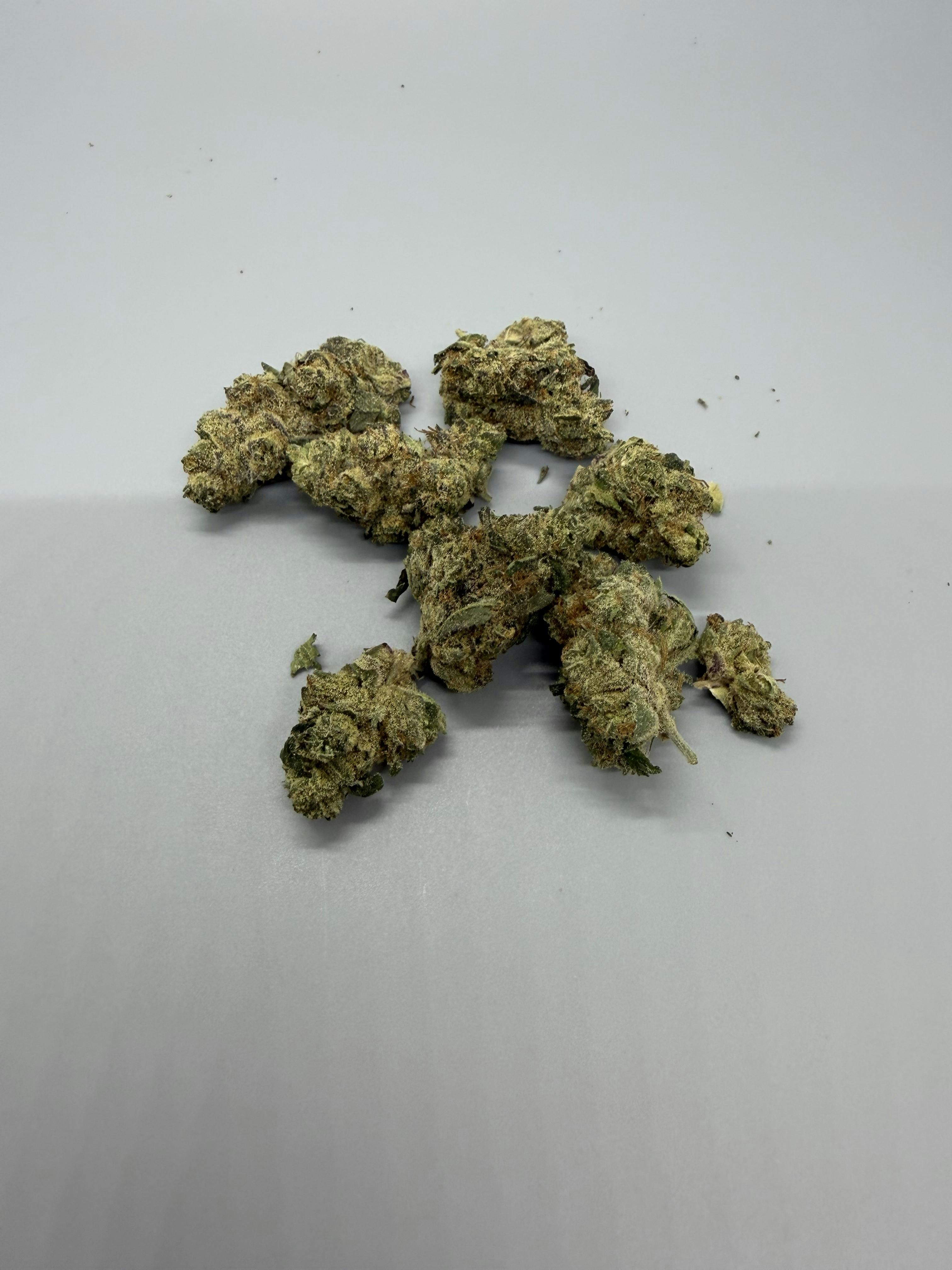 Vera | Fritter Runtz I 3.5g