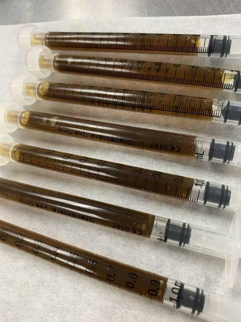 West Edison | Activated Oil Syringe 1G | Spritzer