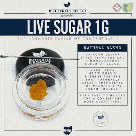 Butterfly Effect | BLJK | Sativa | 1g Live Sugar