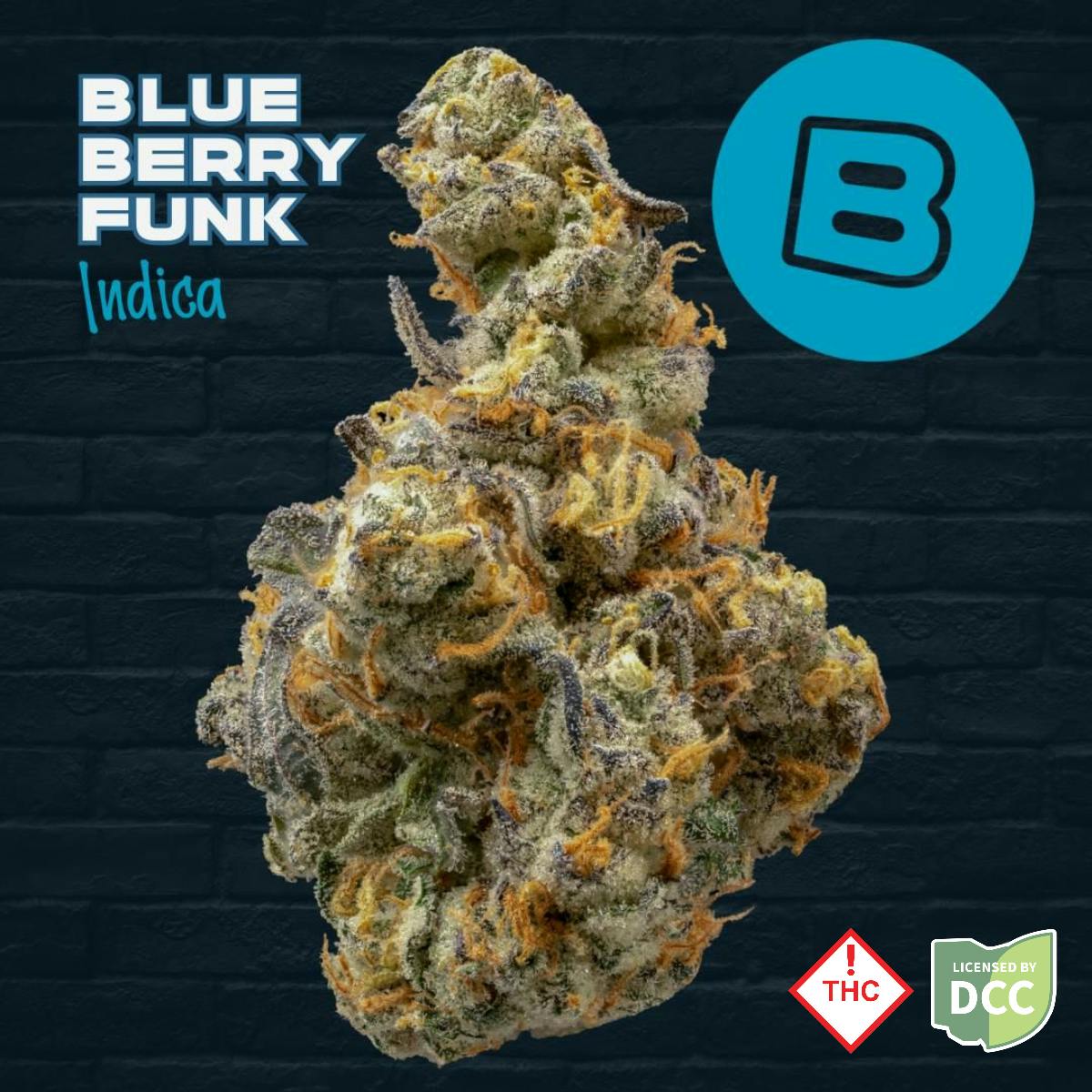Buckeye Relief | Blueberry Funk Indica | 3.5g