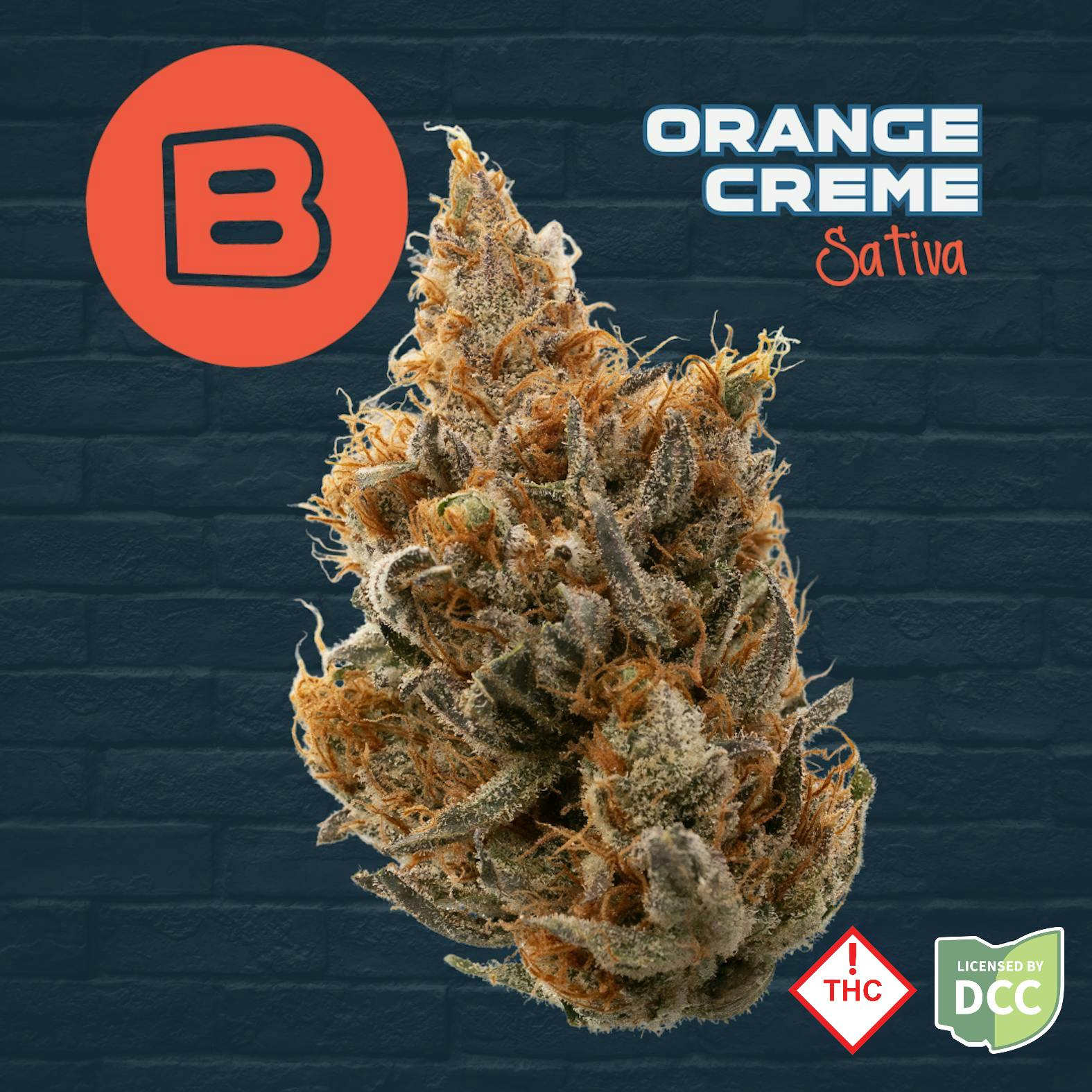 Buckeye Relief | Orange Creme Sativa | 3.5g