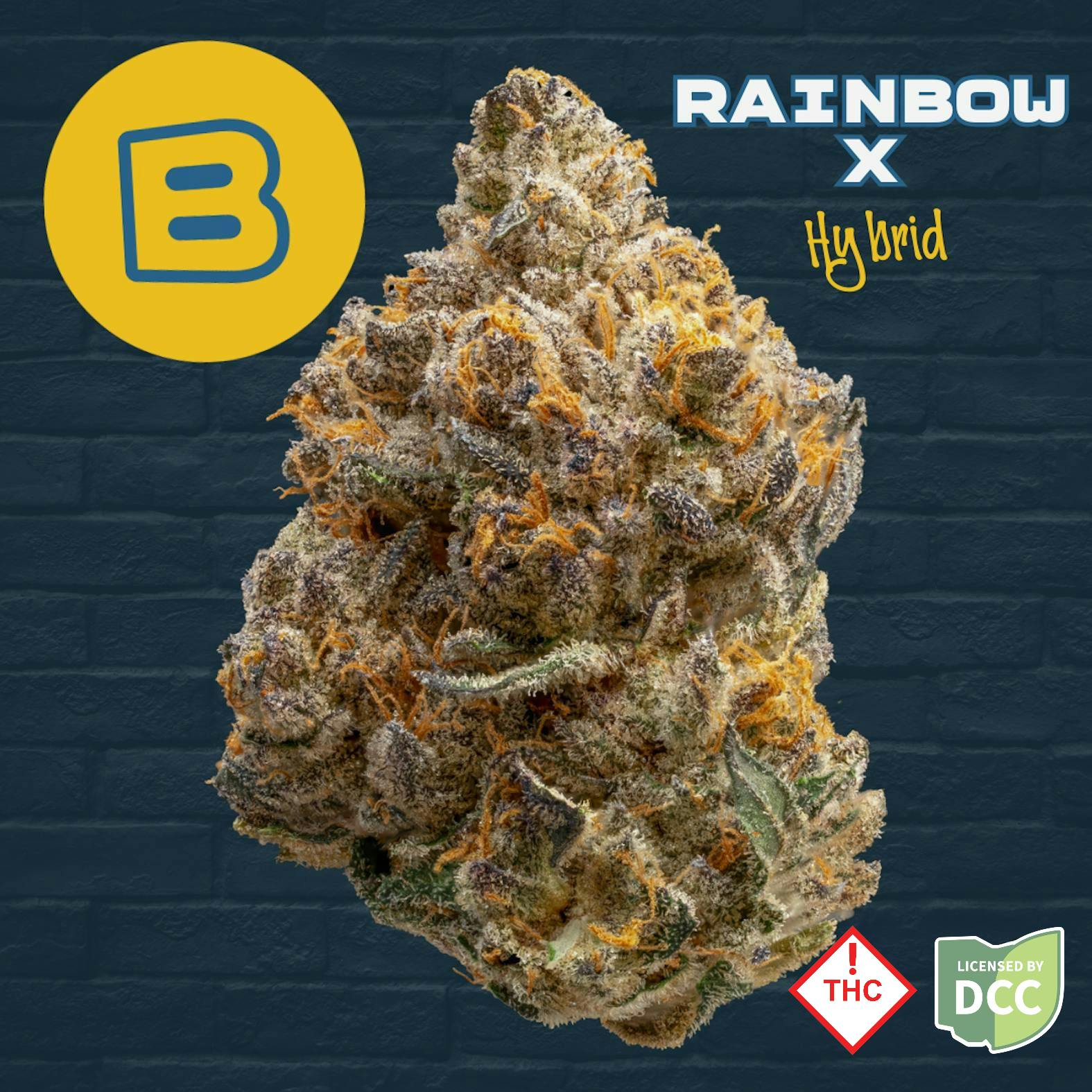 Buckeye Relief | Rainbow X Hybrid | 3.5g