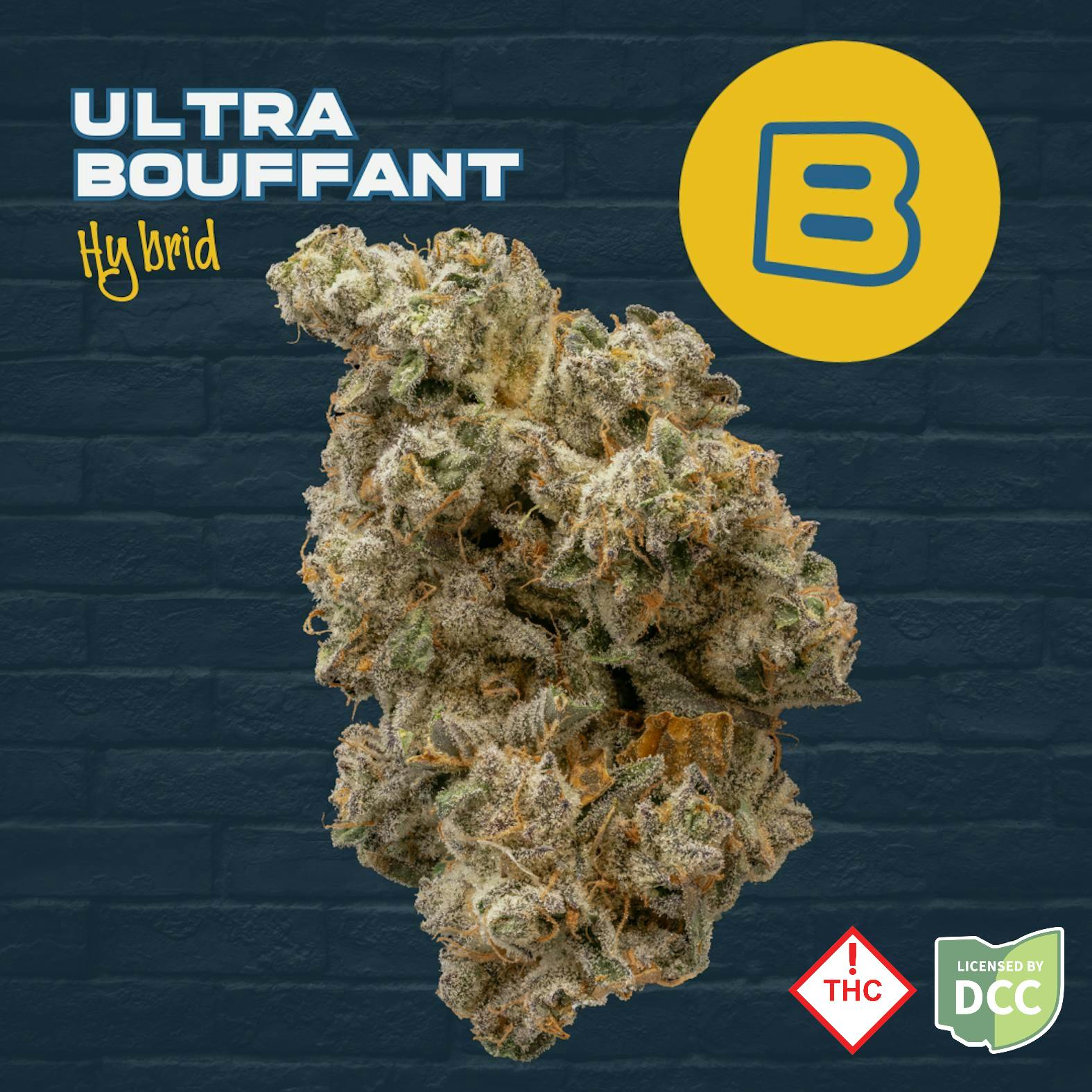 Buckeye Relief | Ultra Bouffant Hybrid | 3.5g