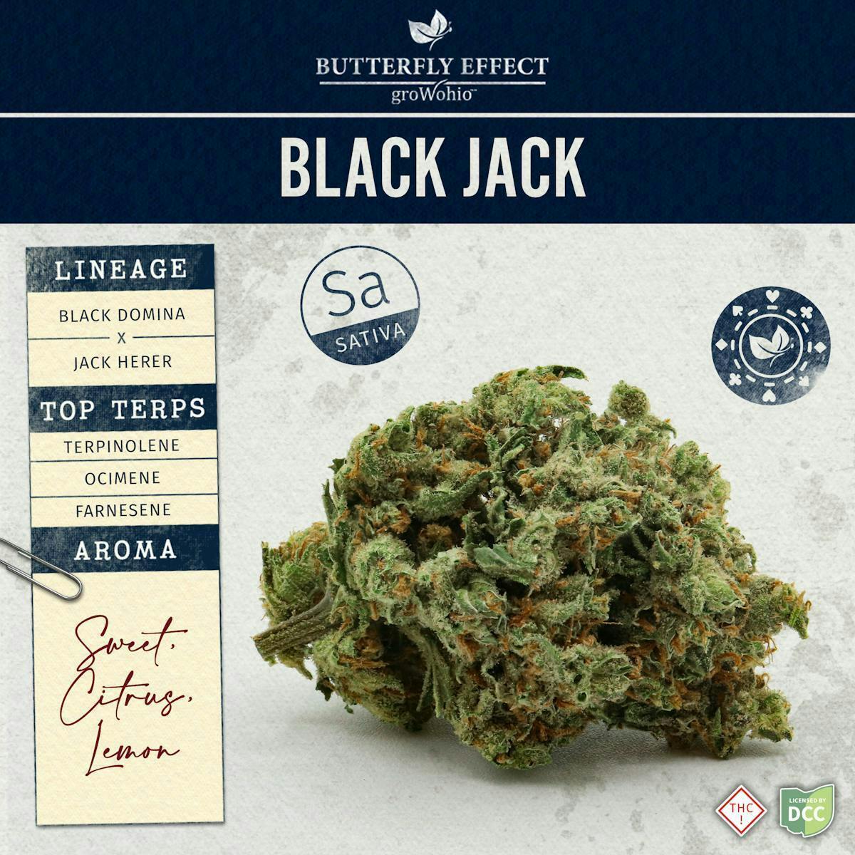 Butterfly Effect | Black Jack Sativa | 3.5g