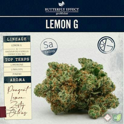 Butterfly Effect | Lemon G Sativa | 3.5g