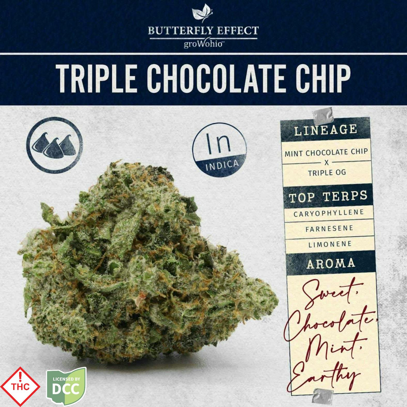 Butterfly Effect | Triple Chocolate Chip Indica | 3.5g
