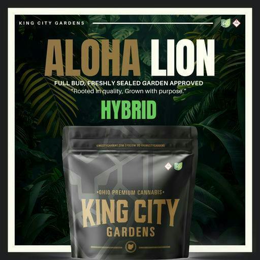 King City Gardens | Aloha Lion Hybrid | 3.5g