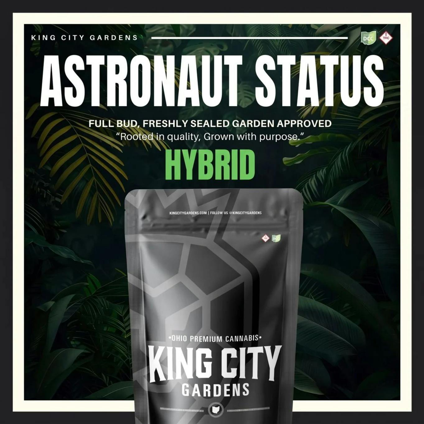 King City Gardens | Astronaut Status Hybrid | 3.5g