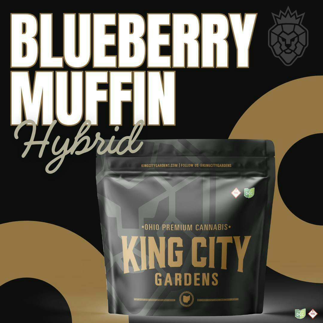 King City Gardens | Blueberry Muffins Hybrid | 3.5g