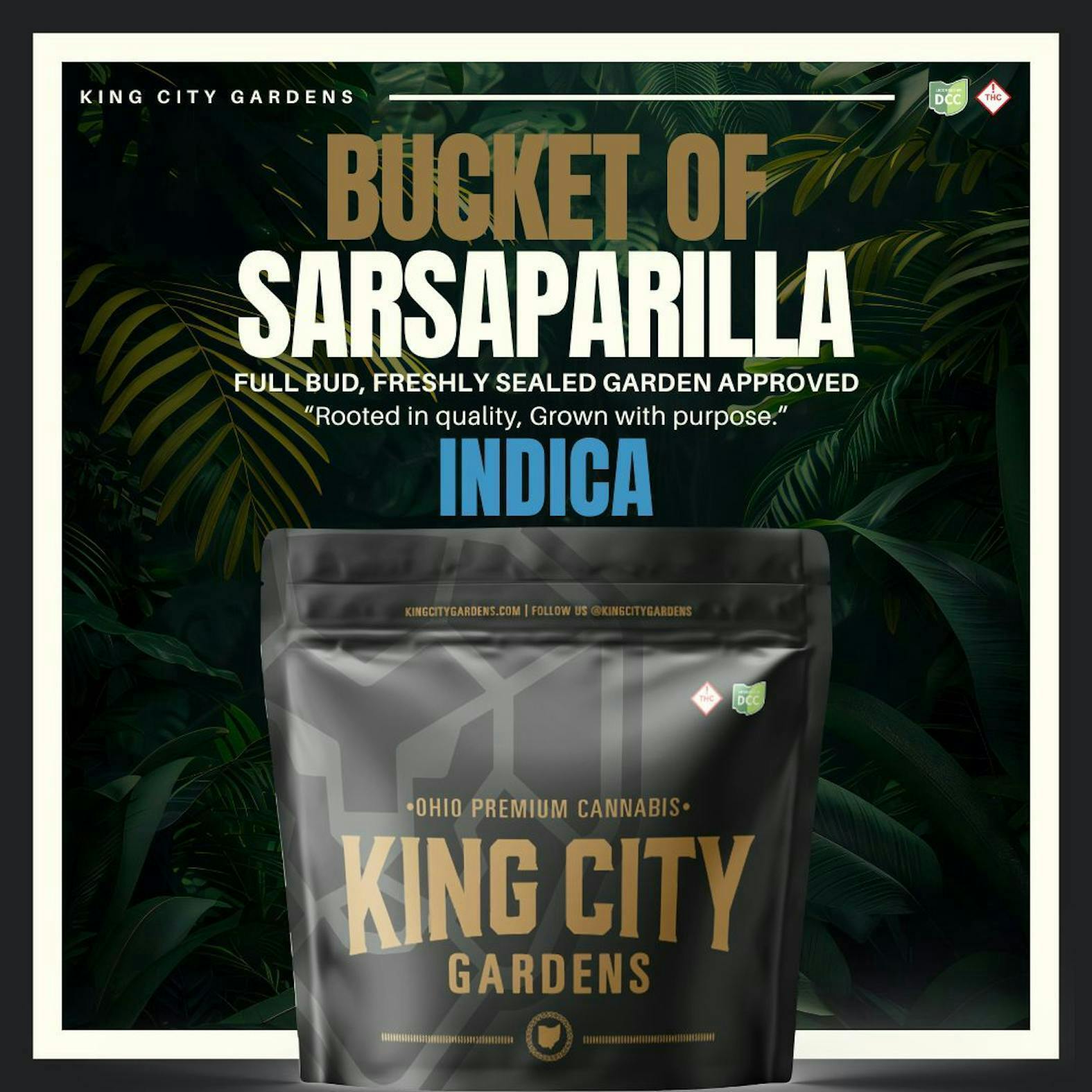 King City Gardens | Bucket of Sarsaparilla Indica | 3.5g