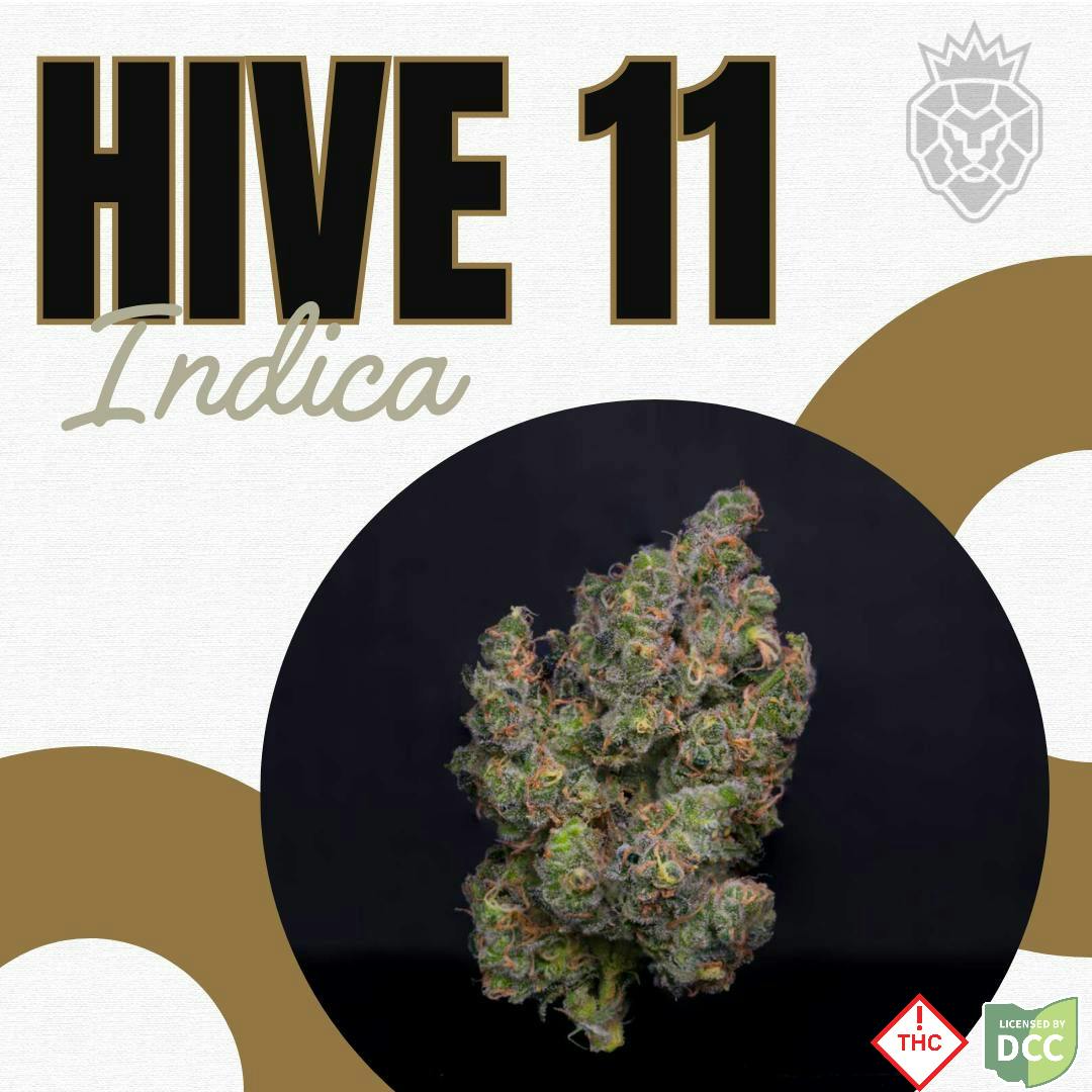 King City Gardens | Hive 11 Indica | 3.5g