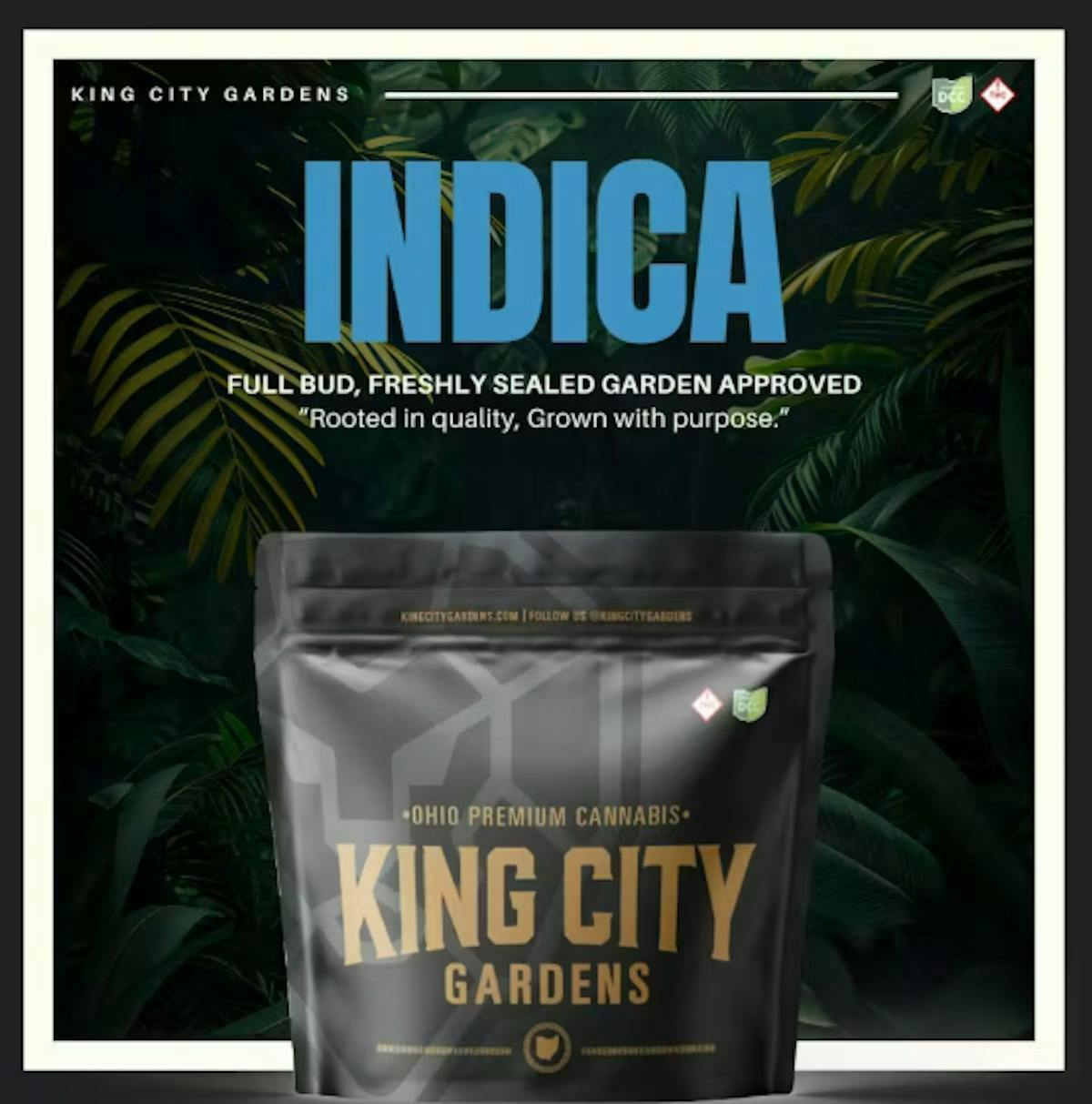 King City Gardens | Biscotti Chunks Indica | 3.5g