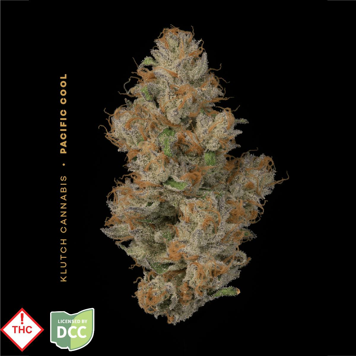 Klutch | Pacific Cool Sativa | 3.5g