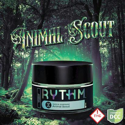 Rythm | Animal Scout Indica | 3.5g
