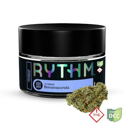 Rythm | Bananaconda Hybrid | 3.5g