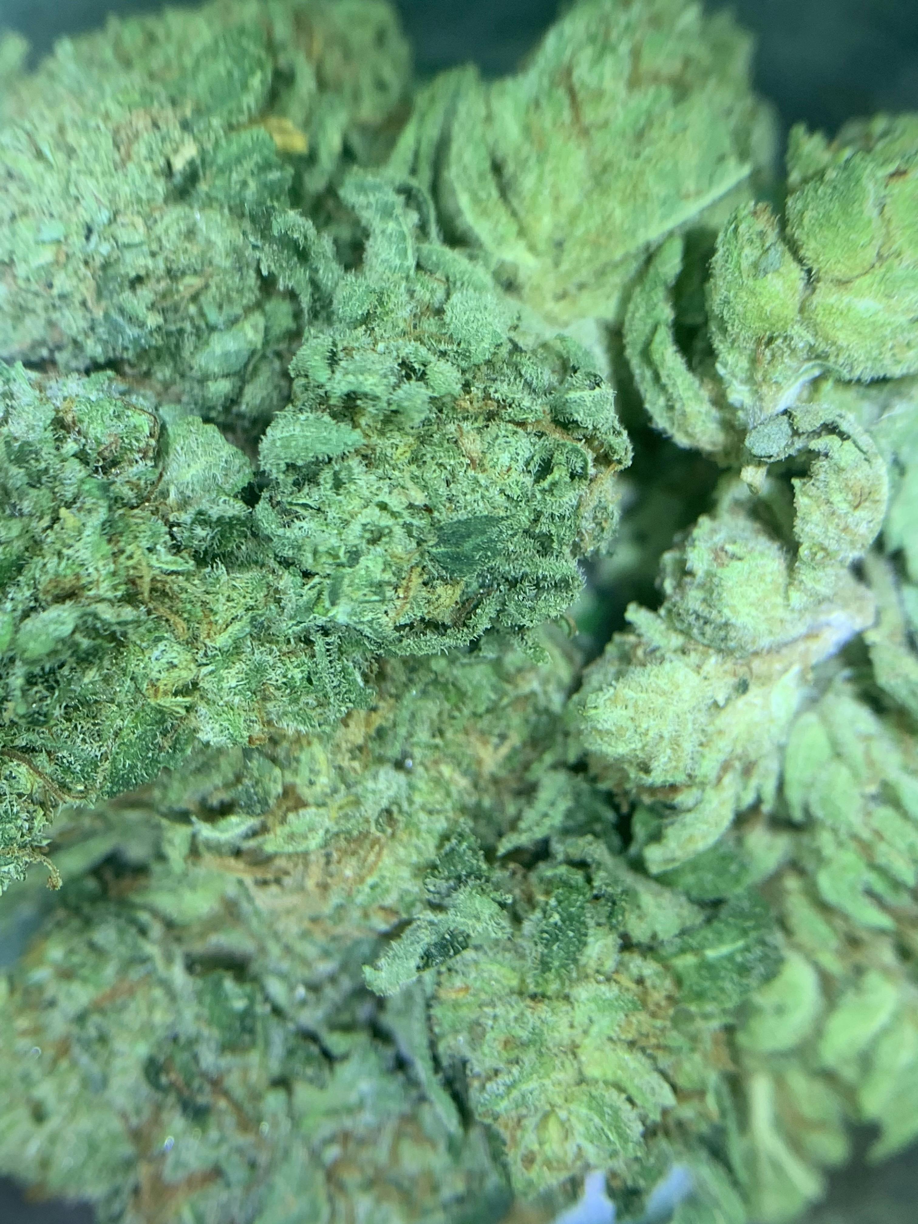 Black Cherry Og