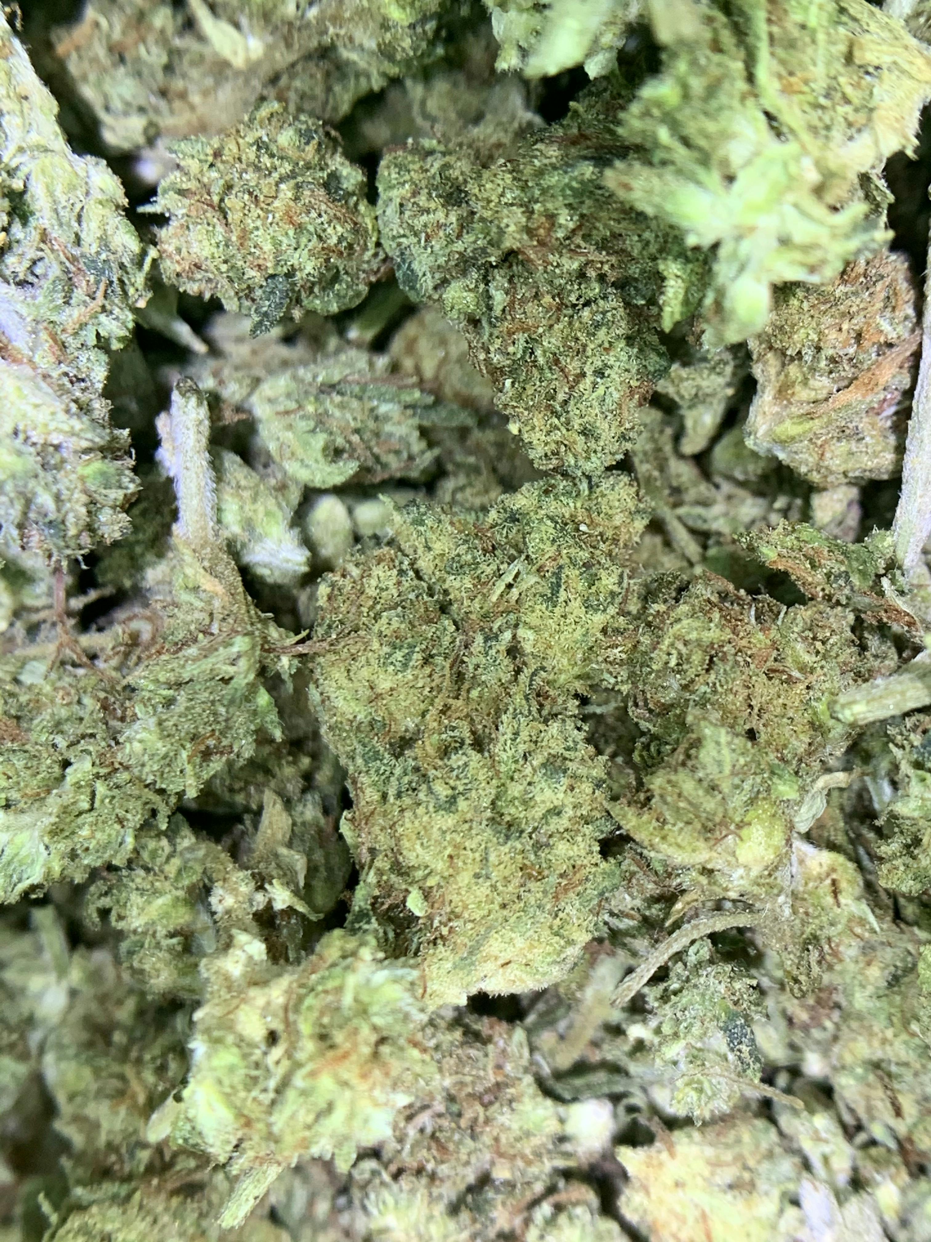 Chemdawg